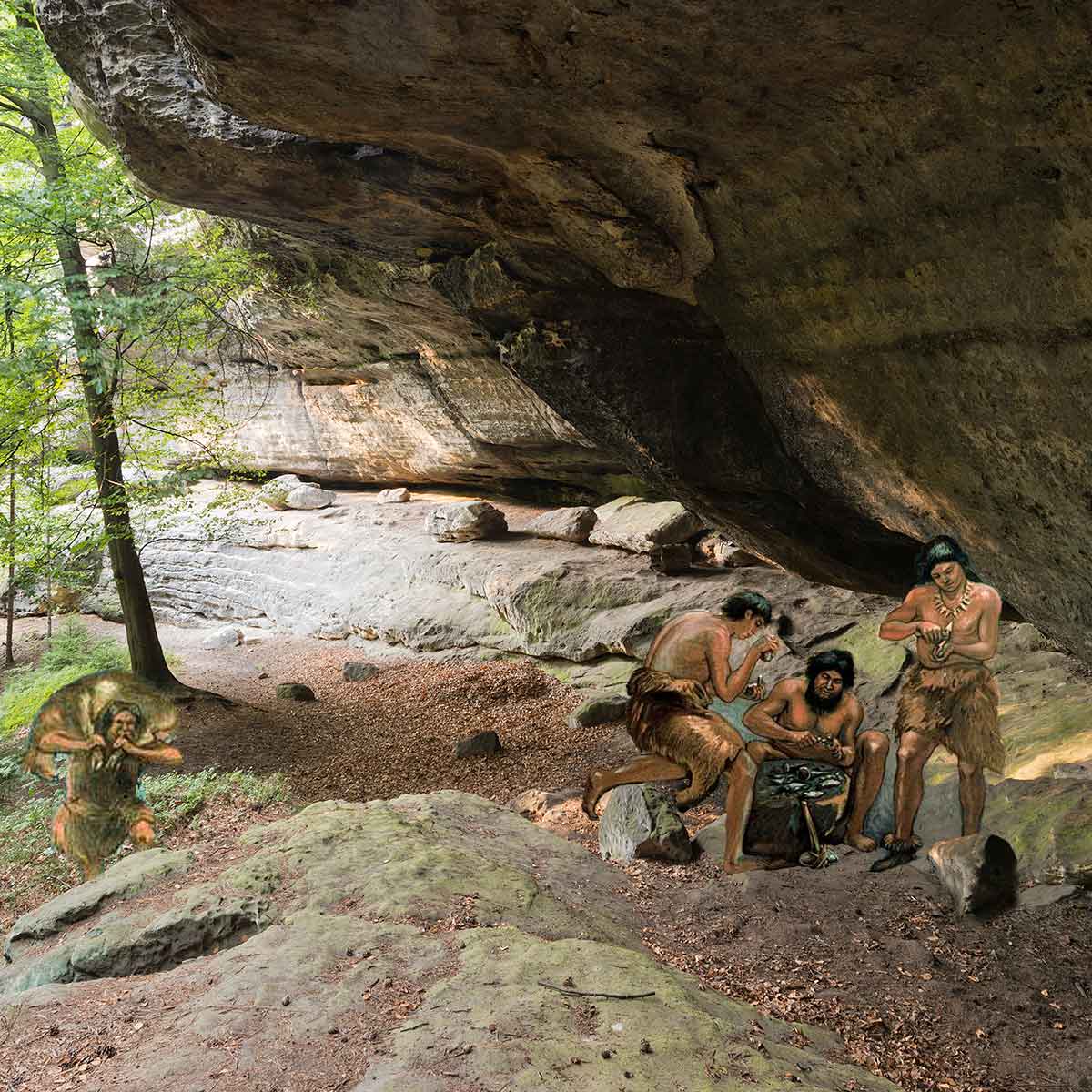 Urzeit - Sächsische Schweiz