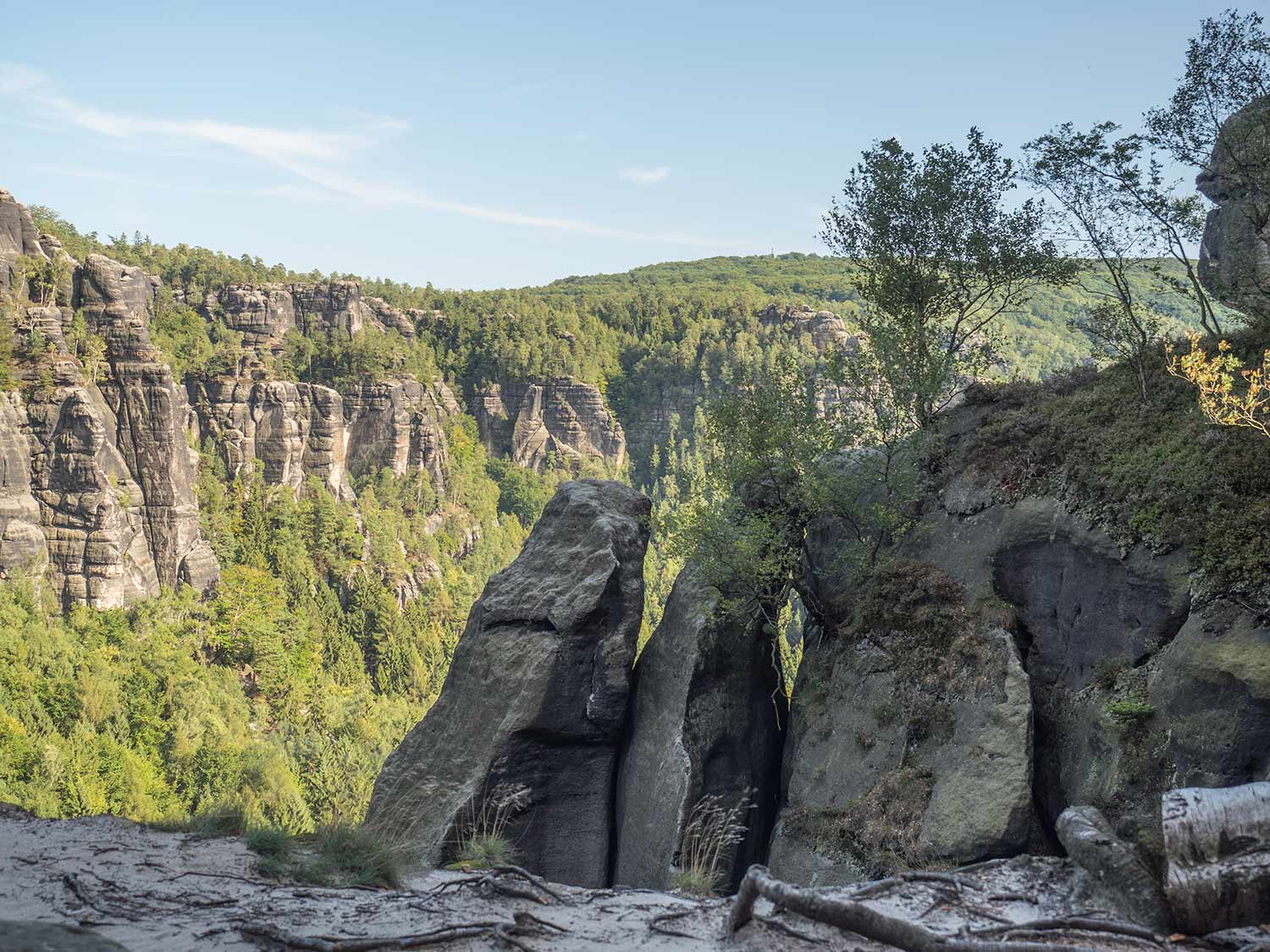 Blick zur Fluchtwand oberhalb der Heiligen Stiege - Sächsische Schweiz