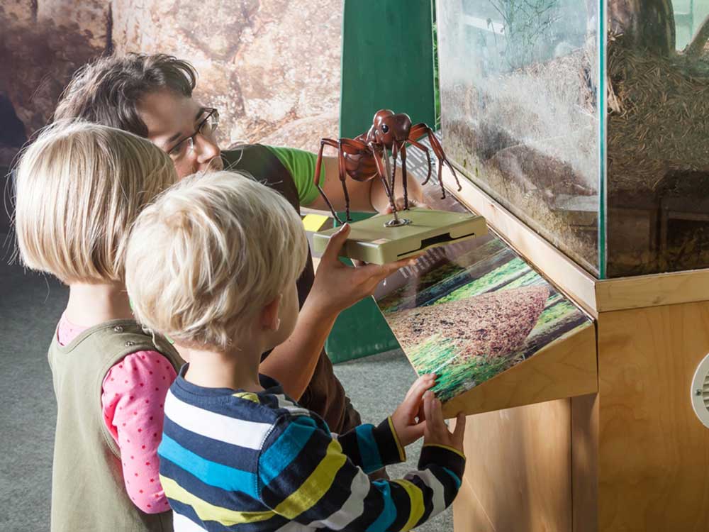 Nationalparkzentrum Sächsische Schweiz