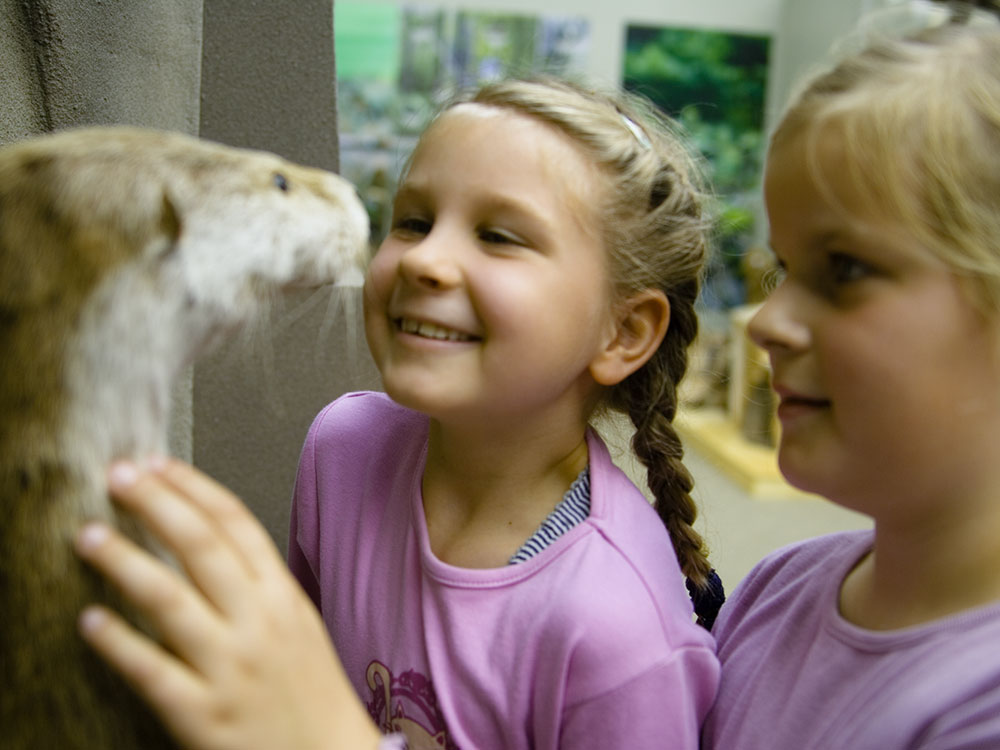 Nationalparkzentrum Sächsische Schweiz