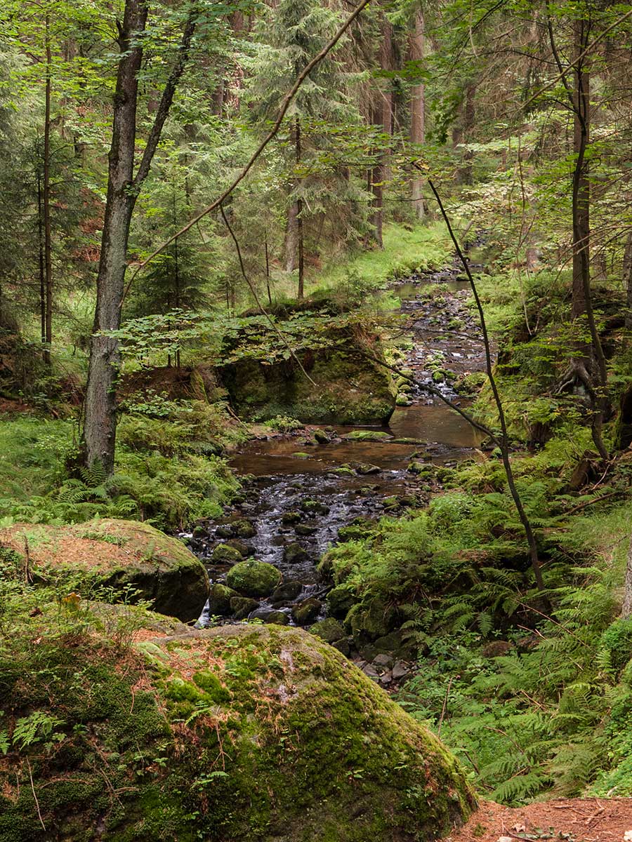 Khaatal - Böhmische Schweiz