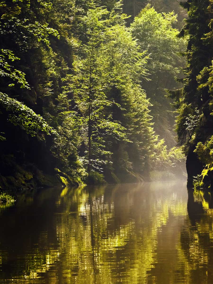 Edmundsklamm - Böhmische Schweiz