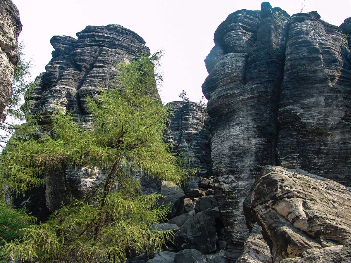 Tyssaer Wände - Böhmische Schweiz