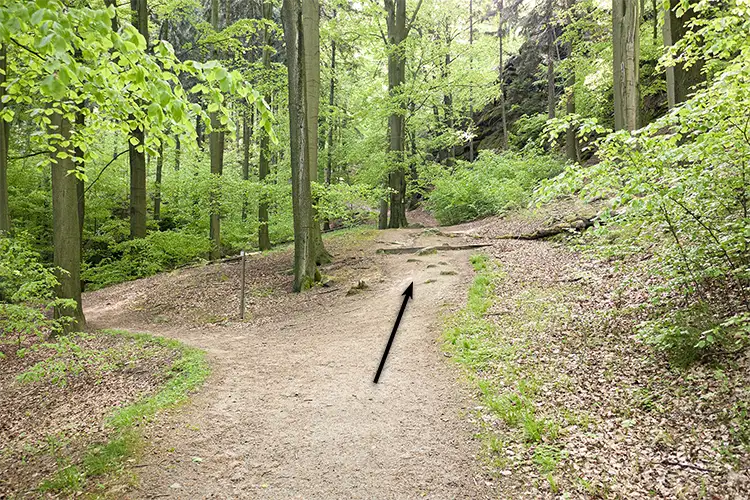 Goldsteinaussicht - Sächsische Schweiz